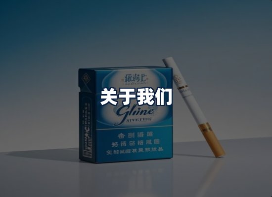 关于我们